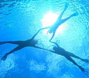 宮古島 ADVENTURE PiPi（ミヤコジマ アドベンチャー ピピ）に投稿された画像（2024/2/21）