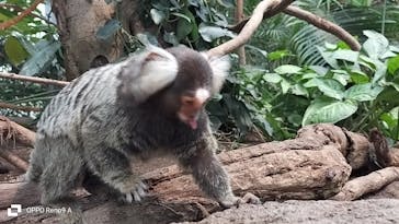 神戸どうぶつ王国に投稿された画像（2024/2/21）