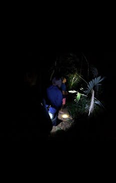 石垣島 ADVENTURE PiPi（イシガキジマアドベンチャーピピ）に投稿された画像（2024/2/21）