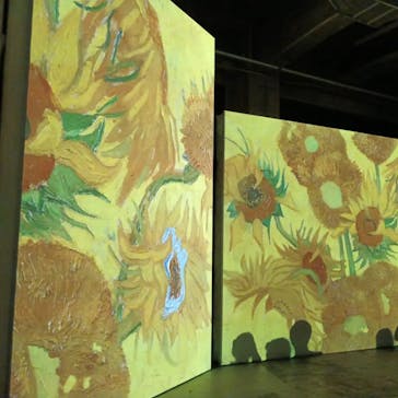 ゴッホ・アライブに投稿された画像（2024/2/21）