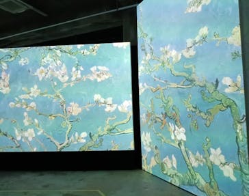 ゴッホ・アライブに投稿された画像（2024/2/21）