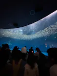 名古屋港水族館に投稿された画像（2024/2/21）