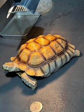 DMMかりゆし水族館に投稿された画像（2024/2/21）