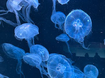 AOAO SAPPOROに投稿された画像（2024/2/21）