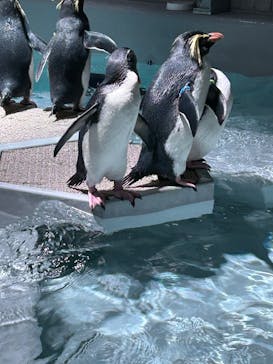 AOAO SAPPOROに投稿された画像（2024/2/21）