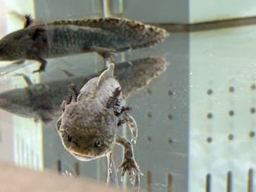 AOAO SAPPOROに投稿された画像（2024/2/21）