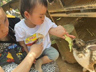 美らヤシパークオキナワ・東南植物楽園に投稿された画像（2024/2/21）