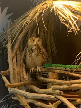 カワスイ 川崎⽔族館に投稿された画像（2024/2/21）