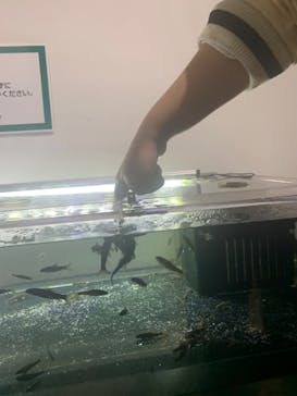 カワスイ 川崎⽔族館に投稿された画像（2024/2/21）