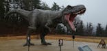 福井県立恐竜博物館に投稿された画像（2024/2/21）