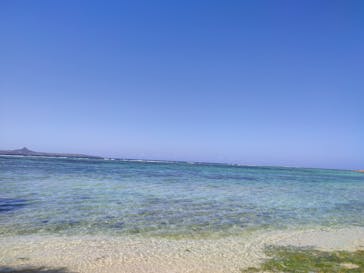 沖縄美ら海水族館に投稿された画像（2024/2/21）