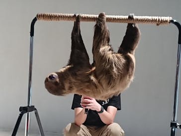 カワスイ 川崎⽔族館に投稿された画像（2024/2/21）