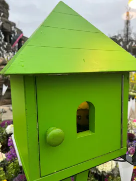 ひらかたパークに投稿された画像（2024/2/21）