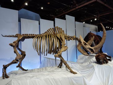 特別展「化石ハンター展 ～ゴビ砂漠の恐竜とヒマラヤの超大型獣～」＠名古屋に投稿された画像（2024/2/21）