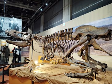 特別展「化石ハンター展 ～ゴビ砂漠の恐竜とヒマラヤの超大型獣～」＠名古屋に投稿された画像（2024/2/21）