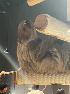 DMMかりゆし水族館に投稿された画像（2024/2/21）