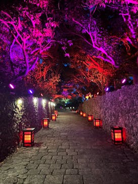 体験王国 むら咲むらに投稿された画像（2024/2/21）