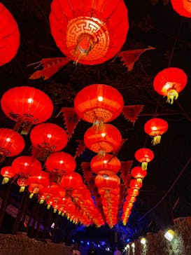 体験王国 むら咲むらに投稿された画像（2024/2/21）