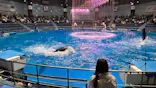 マクセル アクアパーク品川に投稿された画像（2024/2/22）