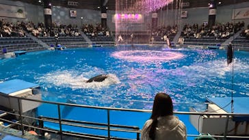 マクセル アクアパーク品川に投稿された画像（2024/2/21）