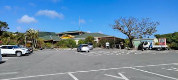 石垣島鍾乳洞に投稿された画像（2024/2/21）