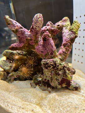 AOAO SAPPOROに投稿された画像（2024/2/21）