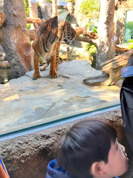 神戸どうぶつ王国に投稿された画像（2024/2/22）