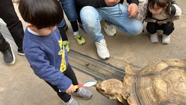 神戸どうぶつ王国に投稿された画像（2024/2/22）