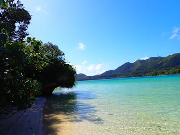 石垣島 ADVENTURE PiPi（イシガキジマアドベンチャーピピ）に投稿された画像（2024/2/22）