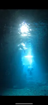 武藤潜水に投稿された画像（2024/2/22）