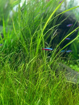 AOAO SAPPOROに投稿された画像（2024/2/22）