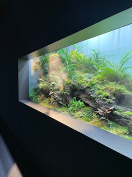 AOAO SAPPOROに投稿された画像（2024/2/22）