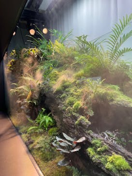 AOAO SAPPOROに投稿された画像（2024/2/22）