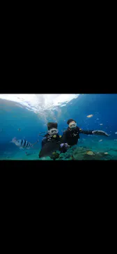 武藤潜水に投稿された画像（2024/2/22）