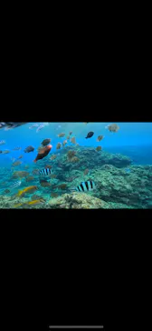 武藤潜水に投稿された画像（2024/2/22）