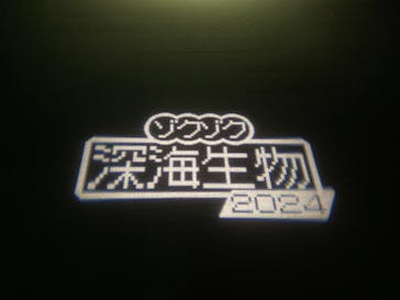 サンシャイン水族館に投稿された画像（2024/2/22）