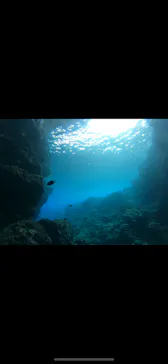 武藤潜水に投稿された画像（2024/2/22）