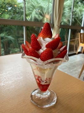 熱川バナナワニ園に投稿された画像（2024/2/22）