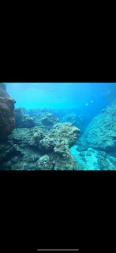 武藤潜水に投稿された画像（2024/2/22）