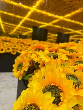 ゴッホ・アライブに投稿された画像（2024/2/22）