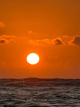 宮古島 ADVENTURE PiPi（ミヤコジマ アドベンチャー ピピ）に投稿された画像（2024/2/22）