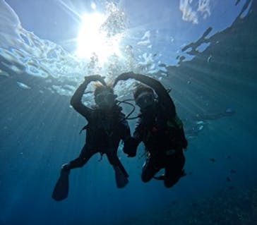 沖縄マリンサービス碧に投稿された画像（2024/2/22）