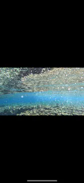 武藤潜水に投稿された画像（2024/2/22）