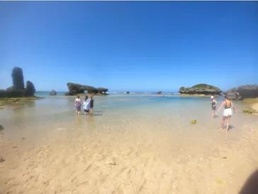 武藤潜水に投稿された画像（2024/2/22）