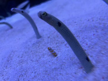 マリンワールド海の中道に投稿された画像（2024/2/22）