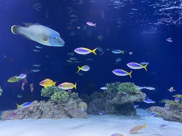 マリンワールド海の中道に投稿された画像（2024/2/22）