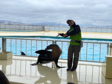 マリンワールド海の中道に投稿された画像（2024/2/22）