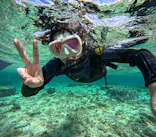 沖縄マリンサービス碧に投稿された画像（2024/2/22）