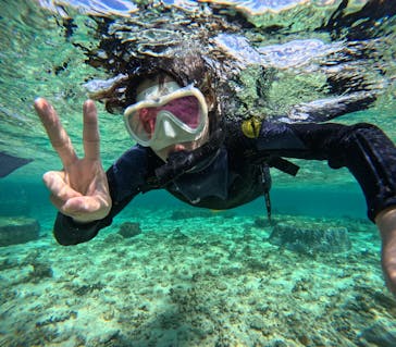 沖縄マリンサービス碧に投稿された画像（2024/2/22）