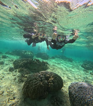 沖縄マリンサービス碧に投稿された画像（2024/2/22）